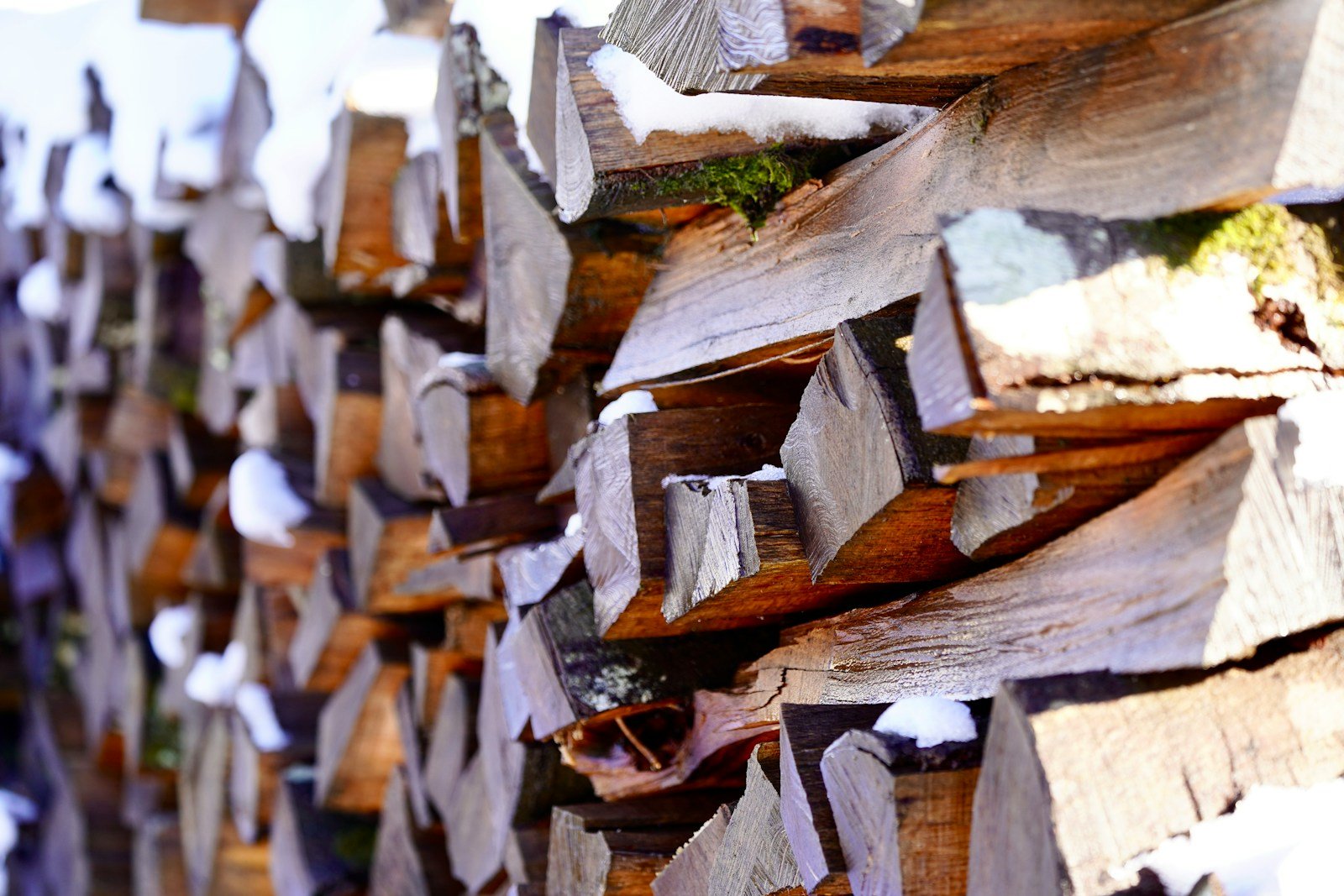 bois pour création d'un portail